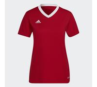 Entrada 22 Jersey