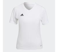 Entrada 22 Jersey