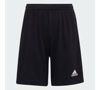 Entrada 22 Shorts