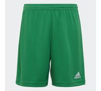 Entrada 22 Shorts