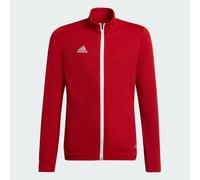 Entrada 22 Track Top