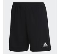 Entrada 22 Training Shorts