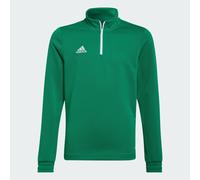 Adidas Entrada 22 Training Sweatshirt Green 7-8 Years Kids