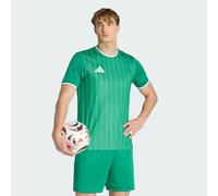 Entrada26 Graphic Jersey