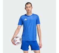 adidas Men's Entrada26 Graphic Jersey, Team Royal Blue/White, S