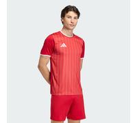 Entrada26 Graphic Jersey