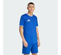 adidas Men's Entrada26 Jersey, Team Royal Blue/White, 3XL