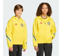 Entrada26 Jersey Kids
