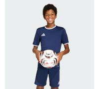 adidas Unisex Kids Entrada26 Jersey Kids, Team Navy Blue 2/White, 15-16 Years