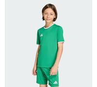 Entrada26 Jersey Kids