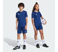 adidas Unisex Kids Entrada26 Kids Shorts, Team Navy Blue 2/White, 3-4 Years