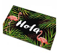 Entrance Front Doormat Carpet Mat Floor Carpet Indoor Area Carpet, Washable Garden Office Door Mat, Flamingo, Hola, 15.7 X 23.6 Inches