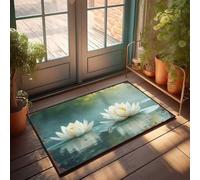 Entrance Mat Outdoor Two Lotus Flowers Blooming On A Calm Pond Doormat Cool Stuff For Your Room Mat For Shoes By Door(40X60CM)