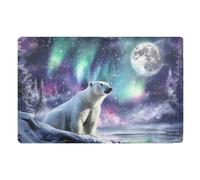 Entrance Rug Bear Moon Aurora Print Indoor Door Mat Low Profile Barrier Mat For Shower Front Door Pets 40X60Cm