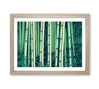 Entrancing Bamboo Forest Framed Print | A2 Oak Framed Wall Art | Ready to Hang | Modern Landscape Picture | Living Room Bedroom Lounge Office