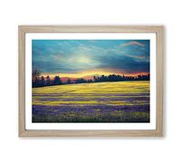 Entrancing Bluebell Field Sunrise Framed Print | A3 Oak Framed Wall Art | Ready to Hang | Modern Landscape Picture | Living Room Bedroom Lounge Office