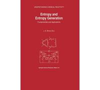 Entropy and Entropy Generation: Fundamentals and Applications: 18 (Understanding Chemical Reactivity, 18)