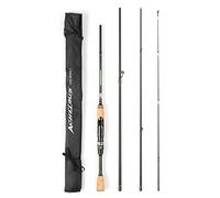 Entweg Casting Rod, Portable Travel Spinning Fishing Rod Lightweight Carbon Fiber 4 Pieces Fishing Pole,Portable Travel Spinning Bass Fishing Rods