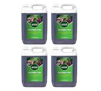 Envii Seafeed Xtra - Organic Liquid Seaweed Fertiliser - 20 Litre