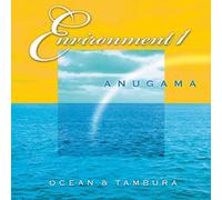 Environment Vol.1 by Anugama (2002-07-29)