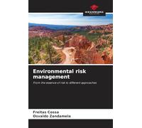Environmental risk management: From the essence of risk to different approaches
