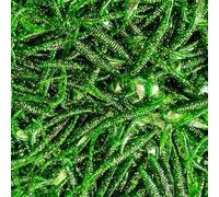 Environmentally Friendly Soft Worm Lures Designed For Fishing With Realistic Textures For Effective Catching(Green)
