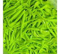 Environmentally Friendly Soft Worm Lures Designed For Fishing With Realistic Textures For Effective Catching(Yellow-green)