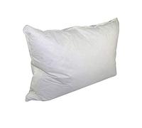 Envirosleep Dream Surrender Queen Pillow