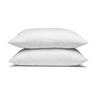 Envirosleep Dream Surrender Queen Pillow Set (2 Pillows) Standard White