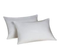 Envirosleep Dream Surrender Two Queen Cluster Pillow Set (2 Pillows)