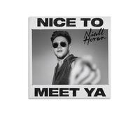 ENZEES Niall Horan Nice to Meet Ya Canvas Poster Bedroom Decor Sports Landscape Office Room Decor Gift Unframe-style 20x20inch(50x50cm)