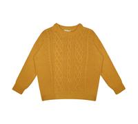 Enzo Jumper Yellow 10 years