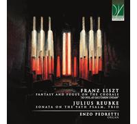 Pedretti,Enzo - 19th Century Organ Works