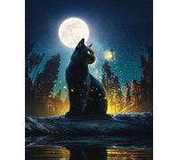 EOBROMD 5D Black Cat Diamond Painting Kits for Adults, Moon Diamond Art Kits Full Drill Gem Crystal Diamond Cross Stitch Picture Art Kits for Crafts Gifts 30x40cm