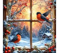 EOBROMD Bird Diamond Art Kits Adults Beginners, Window View Round Full Drill DIY Diamond Painting Kit, Arts and Crafts Crystal Gem Art, Holiday Winter Gifts for Home Wall Decor 12x12inch