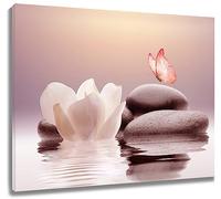 EOBTAIN Zen Stone Canvas Wall Art White Flower and Pink Butterfly on Lake Decorative Pictures Printing for Living Room Bedroom Modern Spiritual Yoga Spa Artwork Bathroom Decor,16x12 Inches