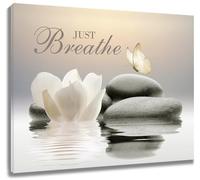 EOBTAIN Zen Stone Framed Wall Art 20x16 Inches Butterfly and Flower Spa Relaxing Spiritual Yoga Canvas Prints Wall Art Bathroom Just Breathe Artwork for Bedroom Office Wall Decor