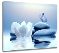 EOBTAIN Zen Water Lily Canvas Wall Art White Floral and Blue Butterfly on Stone Bedroom Wall Decor Modern Spiritual Yoga Spa Painting Picture Artwork Bathroom Decor 20x16 Inches