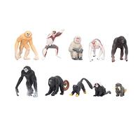 EOJDDPA Primate Animal Models Set Mini Proboscis Monkey Gibbon Orangutan Lemur Figures Vivid Simulation Educational Toys for Kids Children Party Favors School Projects Plastic 10PCS