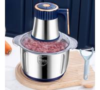 EONLION 500W Electric Meat Grinder Mincer Mixer Blender in Silver EONLION Silver