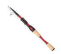 EOW XPEDITE LITE Portable Telescopic Fishing Rods & Combo, Spinning & Casting Fishing Poles, 24T Carbon Rod Blanks, Solid Carbon Tip, Split Cork Grips, Travel Rod, Combos with 5+1BB Spinning Reel