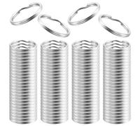 Eowppue 100-Pack Stainless Steel Split Rings - Small Keychain Rings (20mm Diameter) for Car Keys，Efficient Key Organization and Crafting