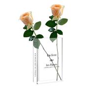EOWVISN 1 Piece Transparent Vase, Creative Vase, Acrylic Vase, Decorative Vase, Table Decoration, Home Decoration