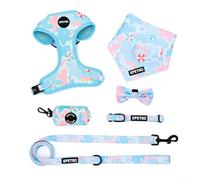 EPETKO Dog Leash and Harness Set of 6, Soft Lightweight Mesh Step-in Puppy Harness, Adjustable Cute Floral Pattern Puppy Vest for Small Medium Dogs
