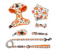EPETKO Dog Leash and Harness Set of 6, Soft Lightweight Mesh Step-in Puppy Harness, Adjustable Cute Floral Pattern Puppy Harness for Small Medium Dogs
