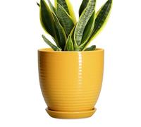 EPFamily Ceramic Pots for Plants - 6 Inch Plant Pot with Drainage Hole and Saucer, Round Planters, Flower Pots, Modern Planter, Home Office Room Decor, Gifts for Plant Lovers, Yellow
