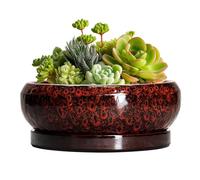 EPFamily Succulent Planters 6 Inch - Ceramic Bonsai Pots with Drainage Hole and Saucer, Small Bonsai Planter, Round Planter Bowl, Shallow Plant Pots Indoor, Room Decor, Gifts for Plant Lovers, Red