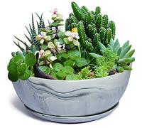 EPGardening 26CM Large Planter Pot Marble Pattern Ceramic Succulent Planter Big Plant Pot Succulents Container Flower Pot Indoor Outdoor Decor