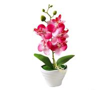 EpheyFIF Artificial Orchid Flowers in Pot, 1 pack Potted Orchid Plant Fake Phalaenopsis Flowers with Plastic Vase for Table Home Decor Office Wedding Party Decoration(Red)