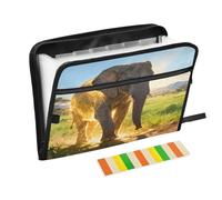 Epic Elephant Gold Expanding Zip File Folder 13 Pockets Accordion Document Organizer for Work Home